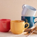 TAZÓN 482ml - FIESTA