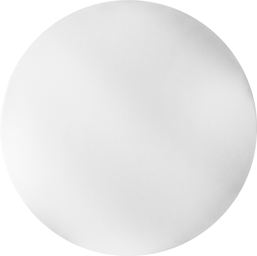 DISCO DE ESPUMA 25cm