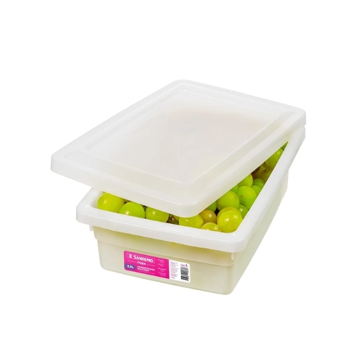 CAJA ORGANIZADORA BLANCA 2,5lts