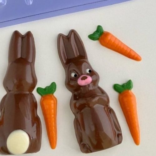 Placa acetato conejo