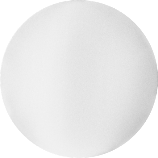 [DI-020] DISCO DE ESPUMA 20cm